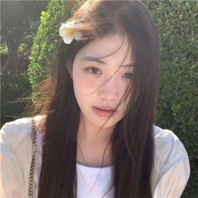 山茶花飘零